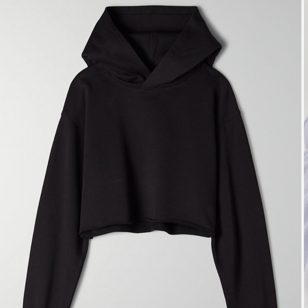 Aritzia Cropped Hoodie: “Tna”